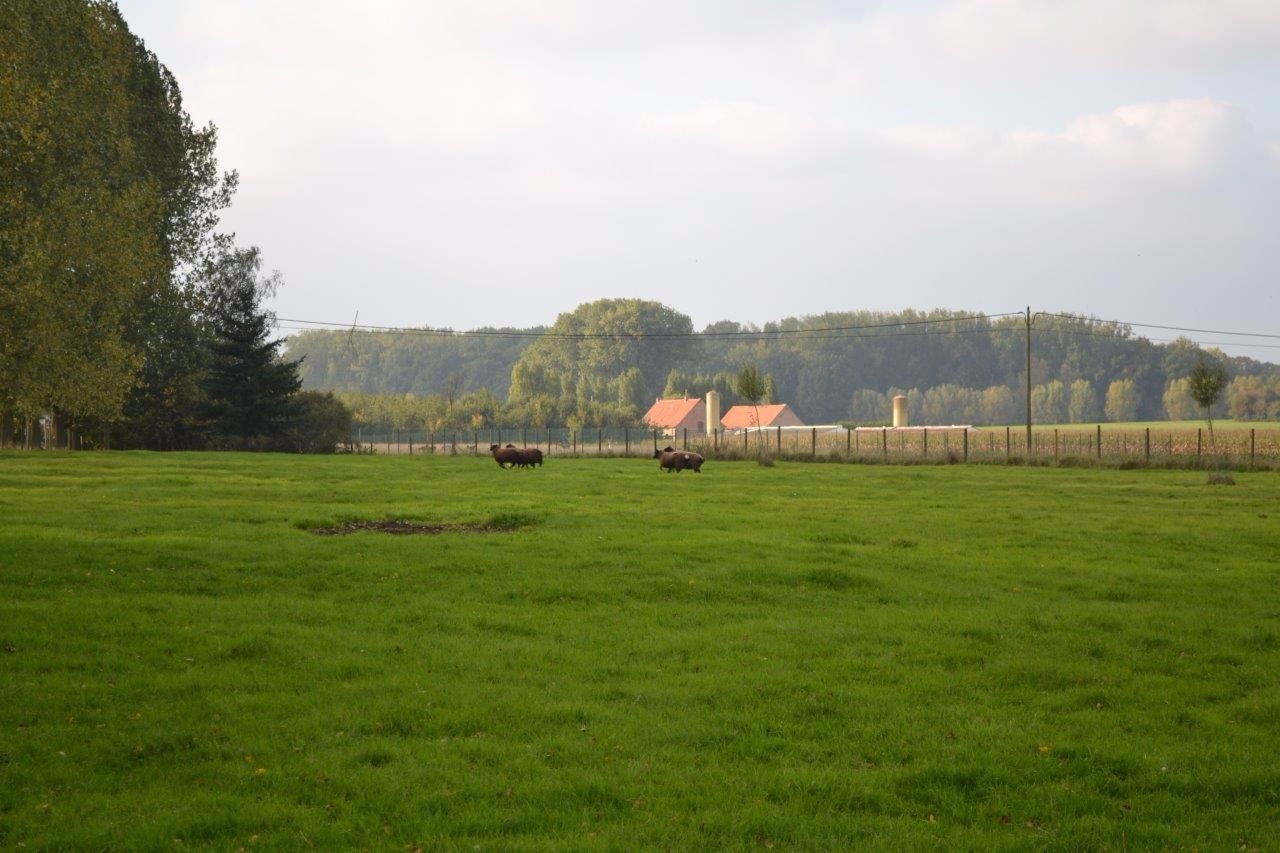 Leuke &#233;&#233;ngezinswoning op ca. 2,32ha te Geluveld (Zonnebeke) 