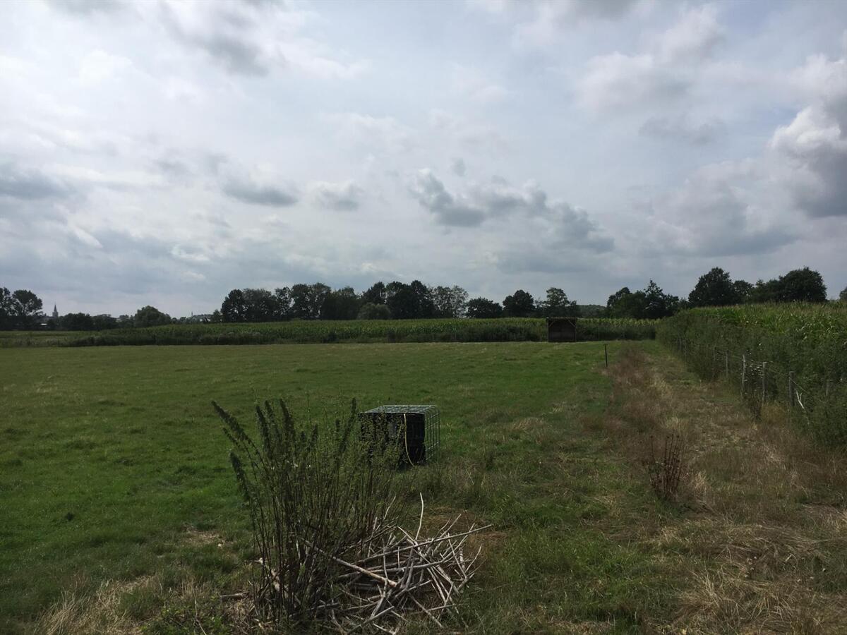 Charmante vierkantshoeve met paardenstallen en weides op ca. 2,66ha te Herk-de-Stad 