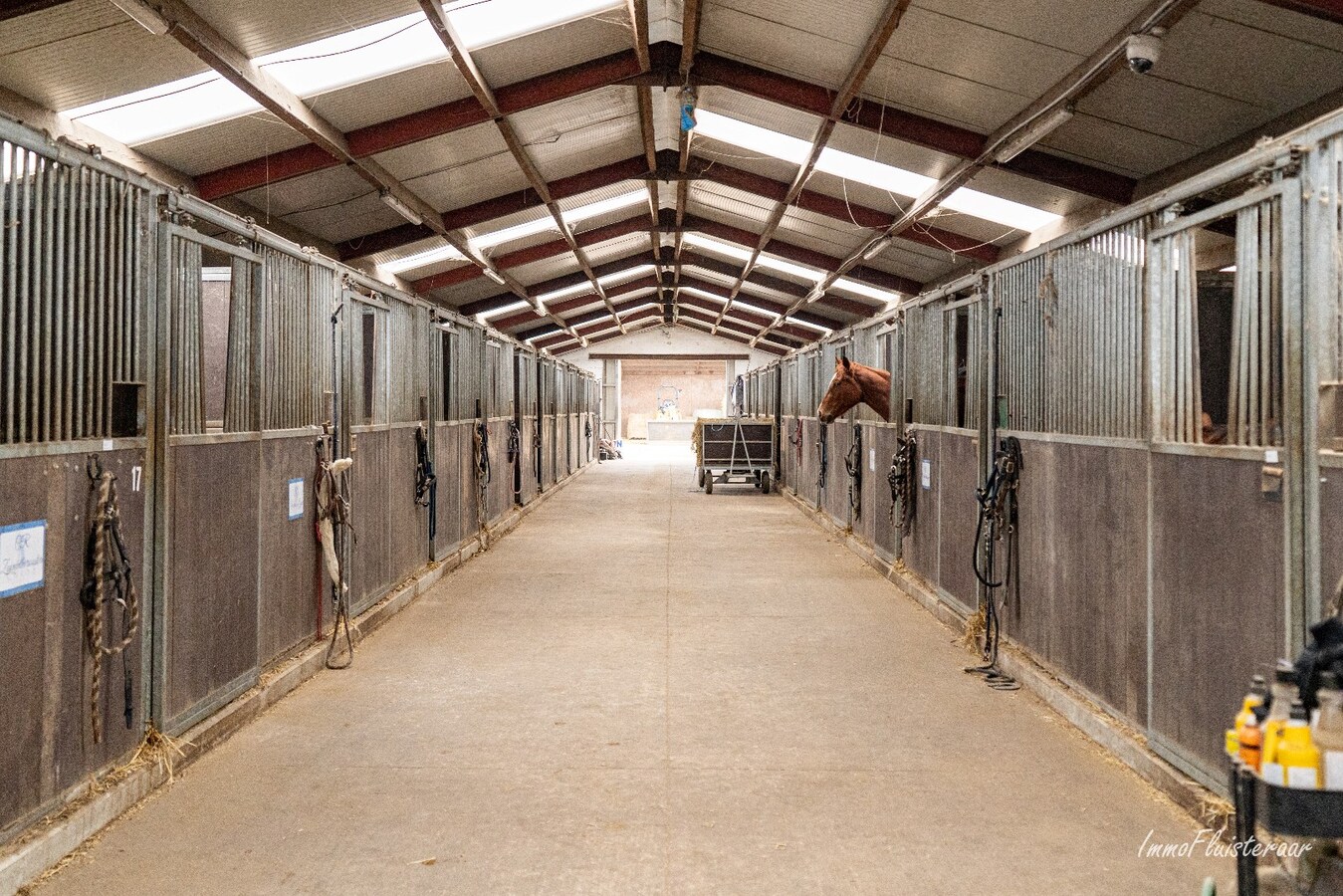 Hippisch complex op ca. 1,9 ha te Rijkevorsel Vergunning voor binnenpiste (60m x 30m) aanwezig! 