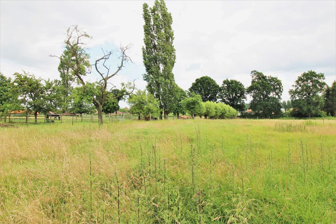 Te renoveren hoeve met bijgebouwen en een weiland op ca. 1.3ha te Kortenaken/Waanrode (Vlaams-Brabant) 