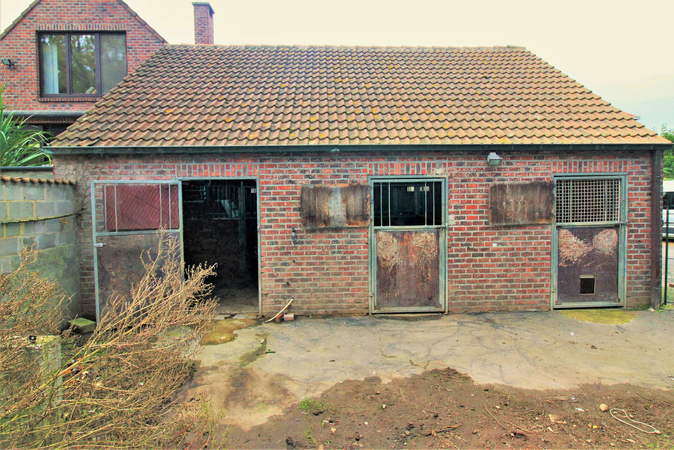 IN OPTIE - Woning (meerdere wooneenheden) met paardenstallen en weiland op ca. 41a te Merchtem (Vlaams-Brabant) 