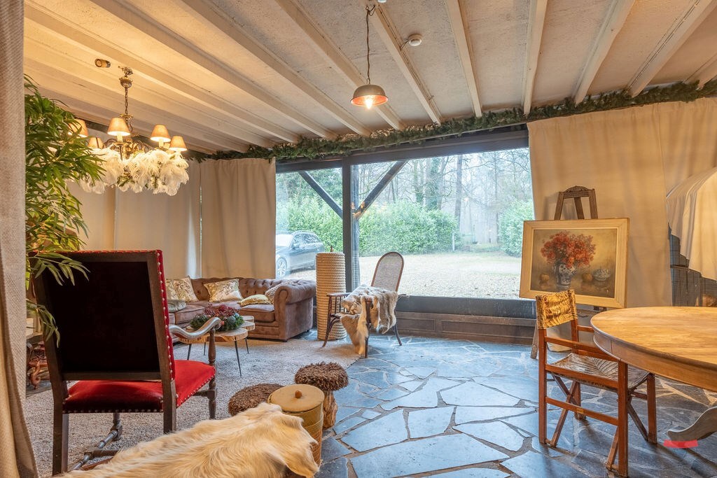 Horeca te koop in Oud-Turnhout