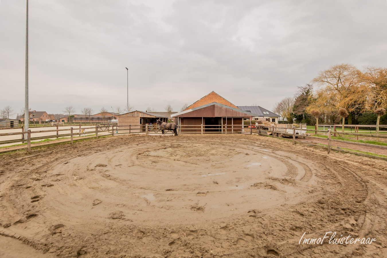 Charmante woning met paardenaccommodatie op 3,7ha te Rijkevorsel 