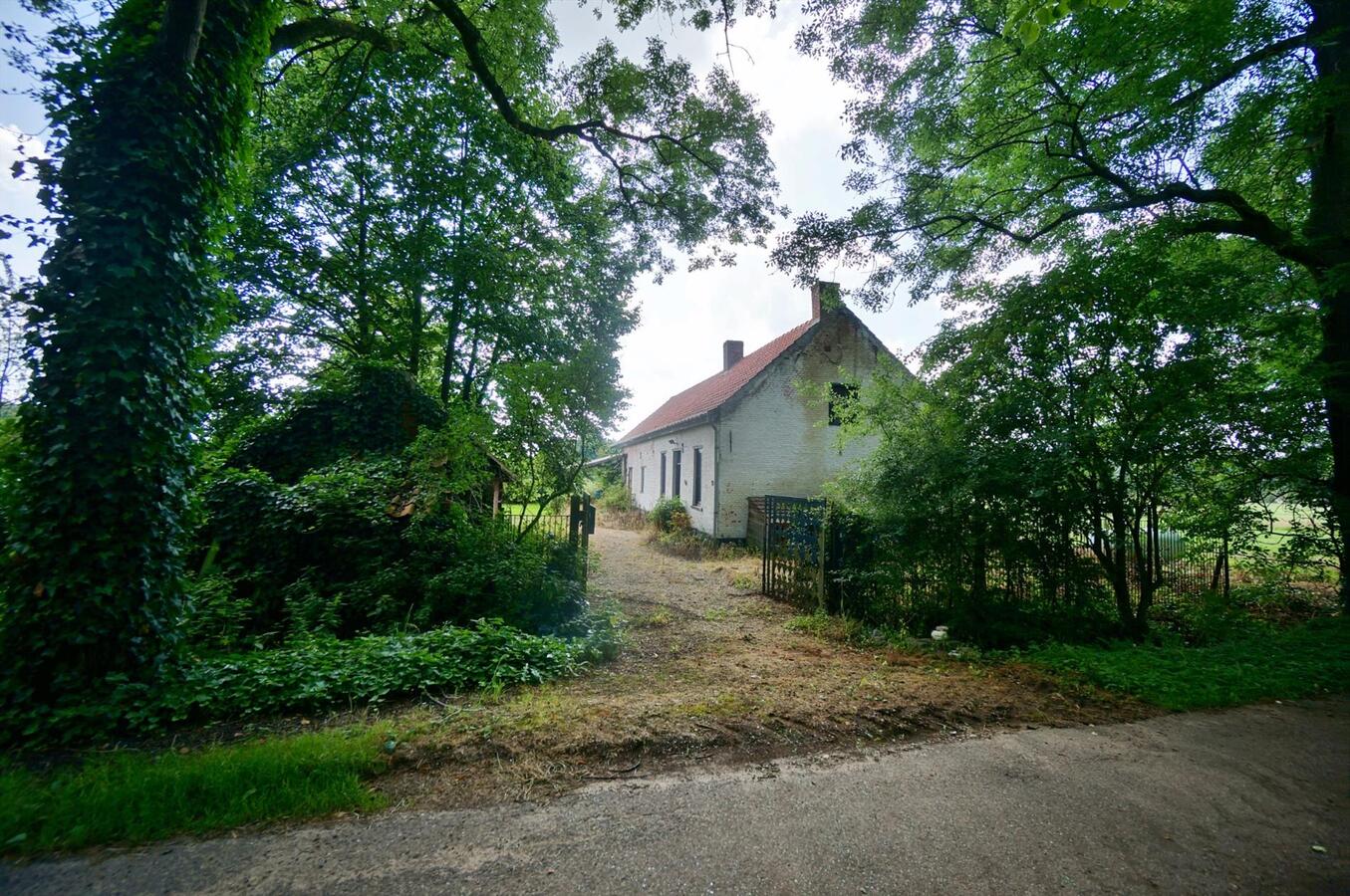 Te renoveren boerderij op unieke locatie op ca. 10ha te Diest 