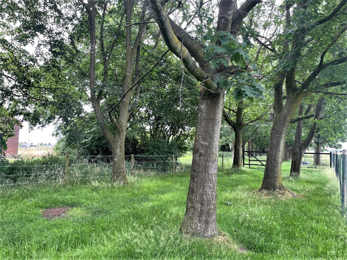 Boerderij verhuurd in Weelde