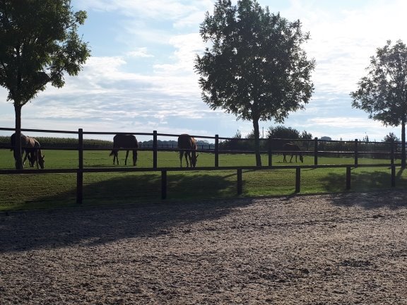 Farm sold in Ulestraten