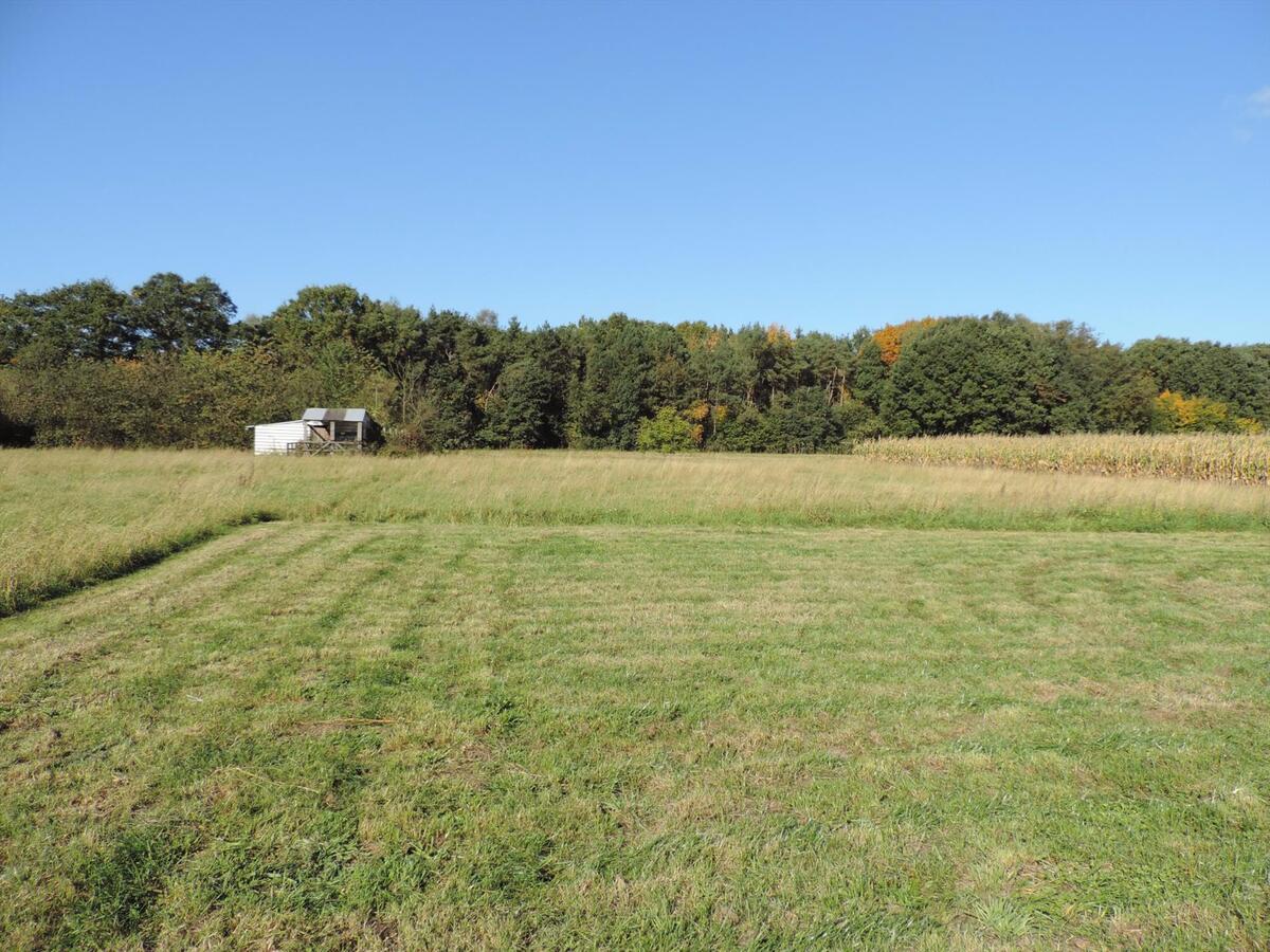 Te renoveren gezinswoning met stallen op ca. 6100 m&#178; te Opoeteren 