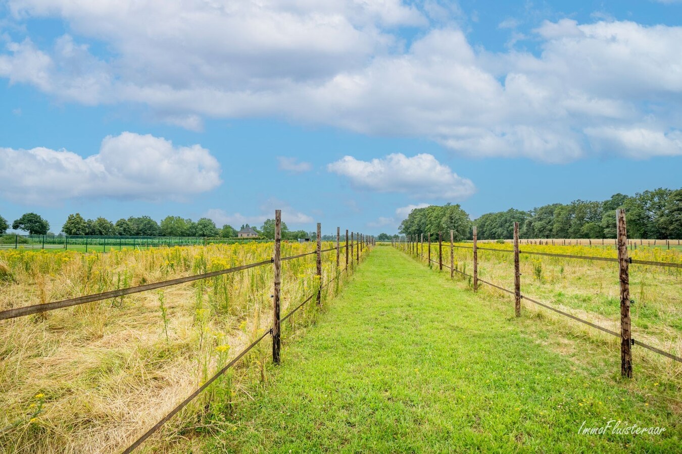 Maison r&#233;nov&#233;e avec des &#233;curies sur environ 1,1 ha &#224; Peer 