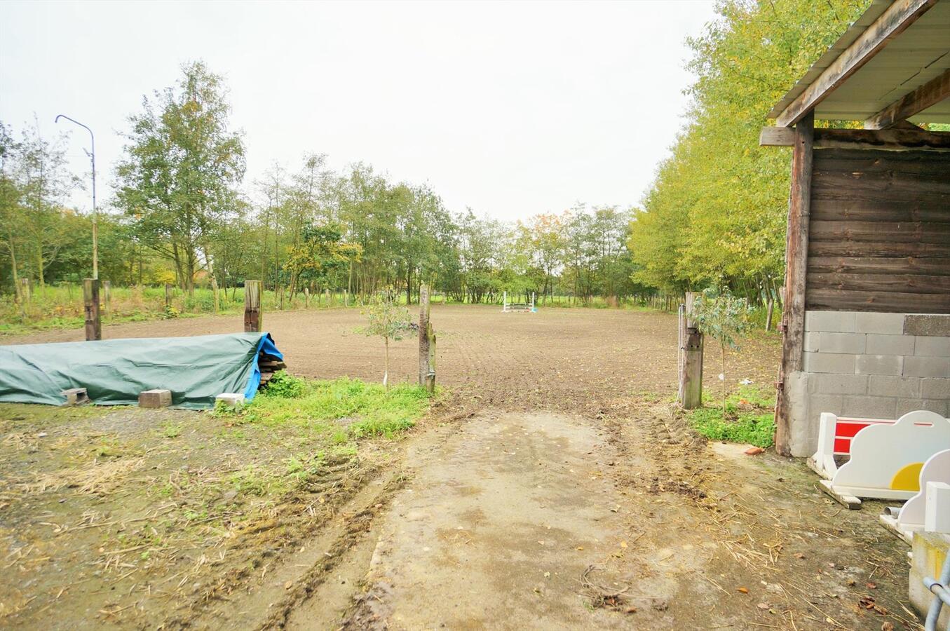 Vrijstaande villa met zwembad, poolhouse en stallen te Putte op ca. 2,26 ha 