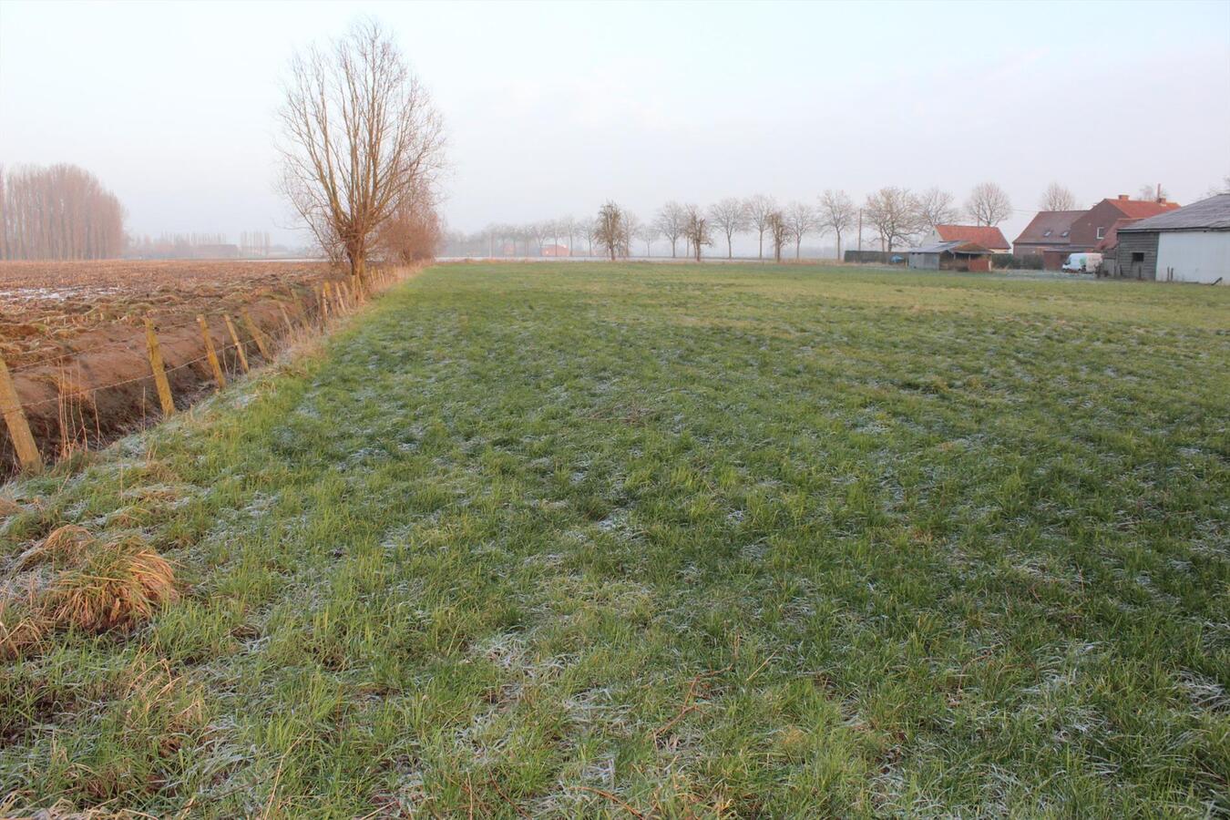 Mooi perceel LANDBOUWGRONDgrond met stallingen op ca. 1,05Ha te Vinkt 