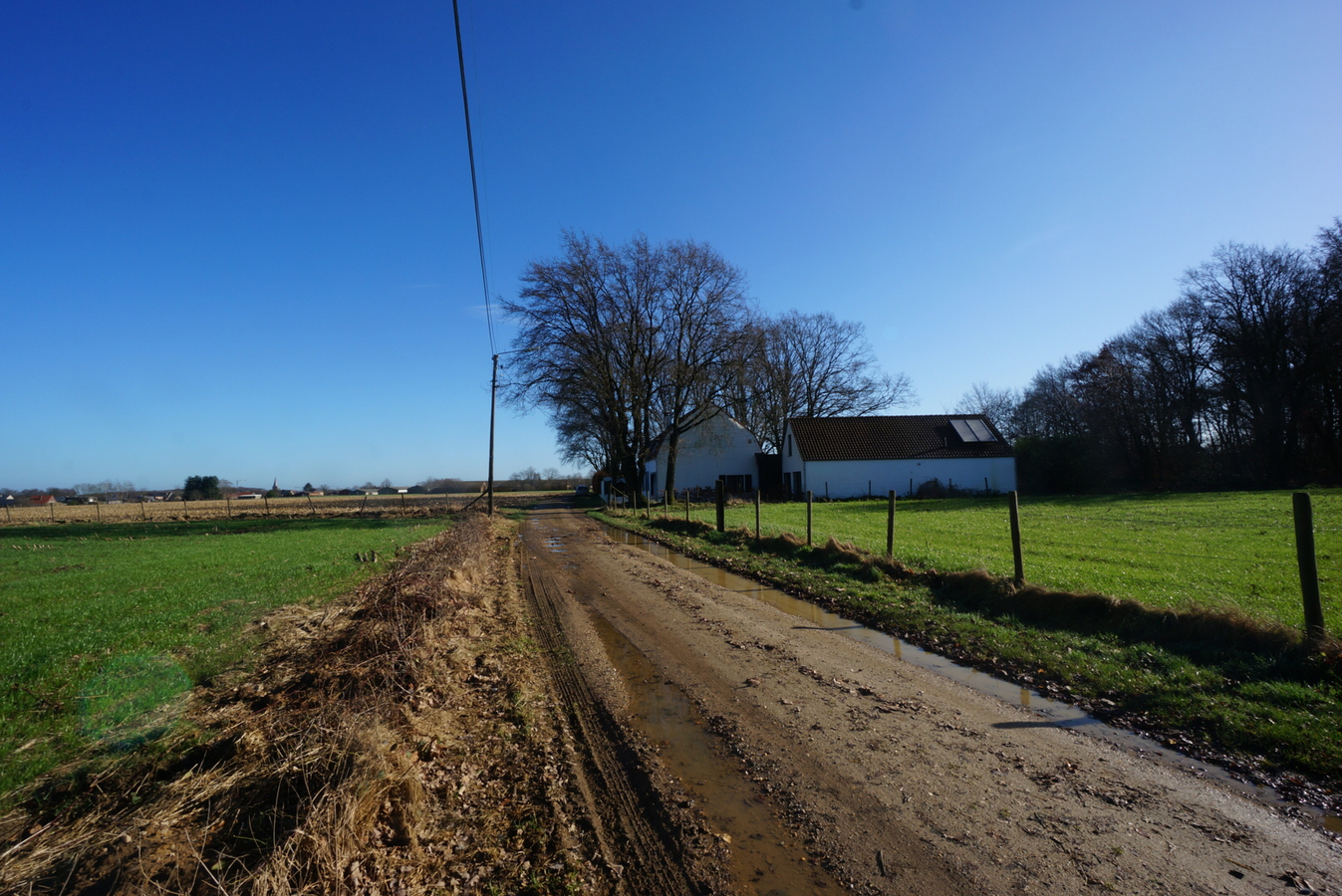 Charmante gerenoveerde hoeve met paardenstallen op ca. 2,5 ha te Gruitrode 