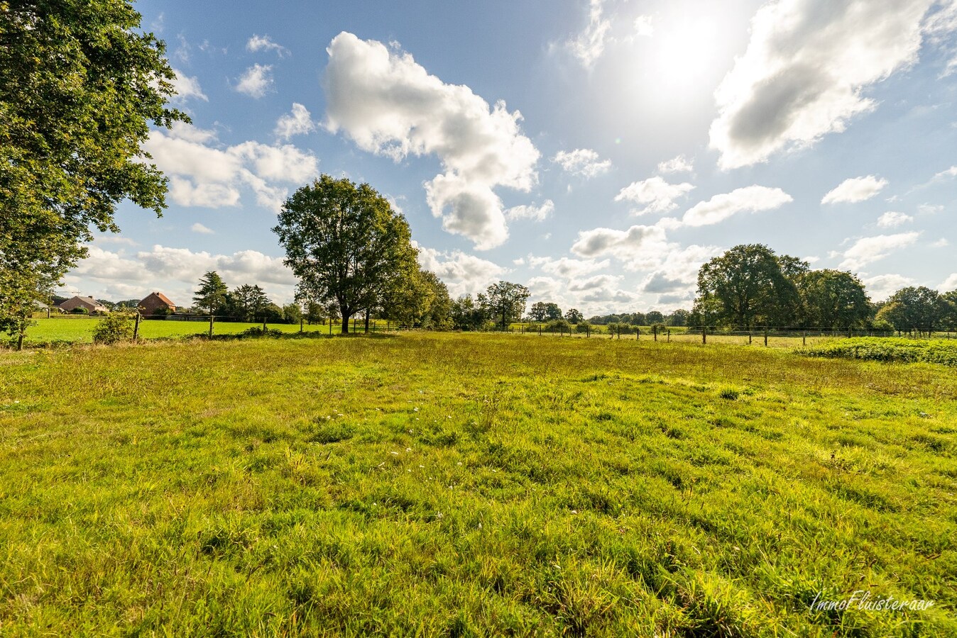 Renovated house with stables and pasture on 4,153 m2 in Morkhoven. 