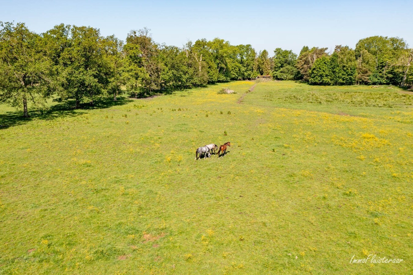 Hoeve op een uitzonderlijke locatie op ca. 5ha te Ham 