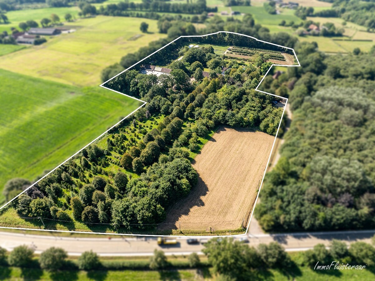 Prachtige villa met polyvalente ruimte en serres op ca. 5 ha te Itegem 