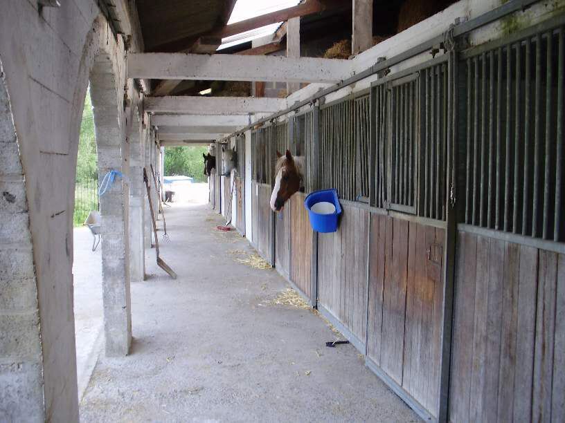 Hoeve met manegecomplex op ca. 2ha nabij Brussel 