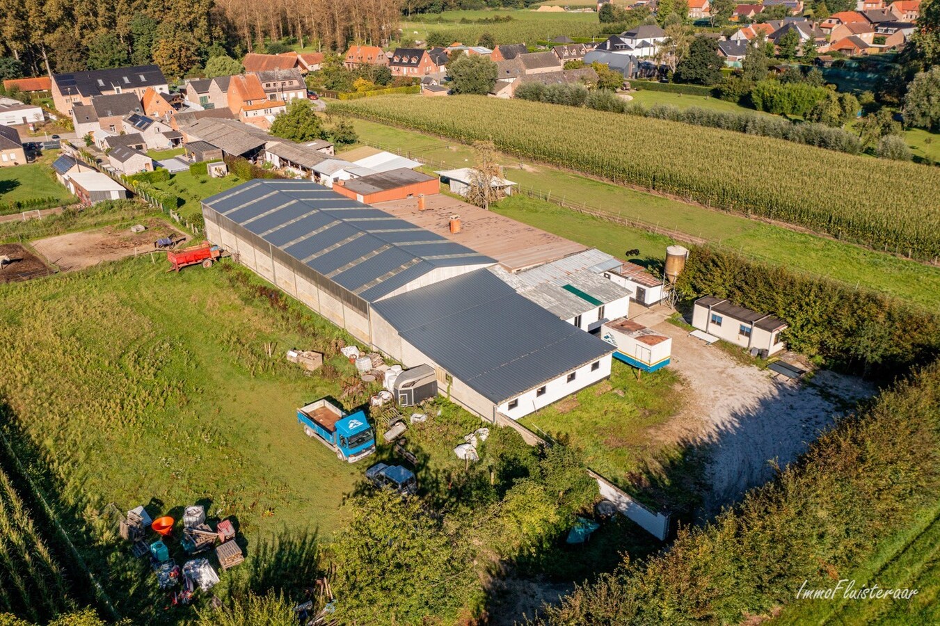 Paardenaccommodatie met binnenpiste op ca. 6ha te Wellen 