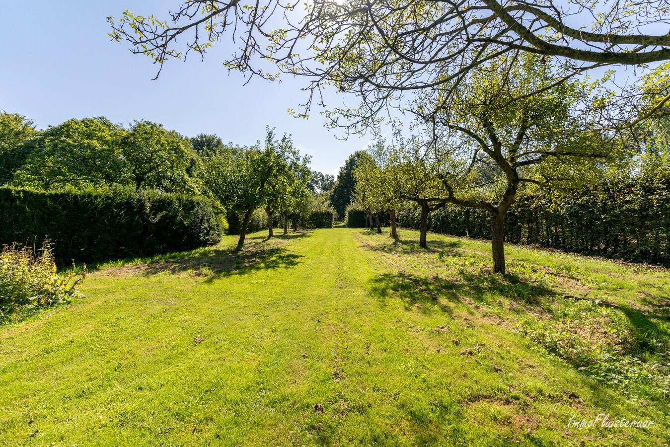 Magnifique villa avec d&#233;pendances et serres sur environ 5 hectares &#224; Itegem 