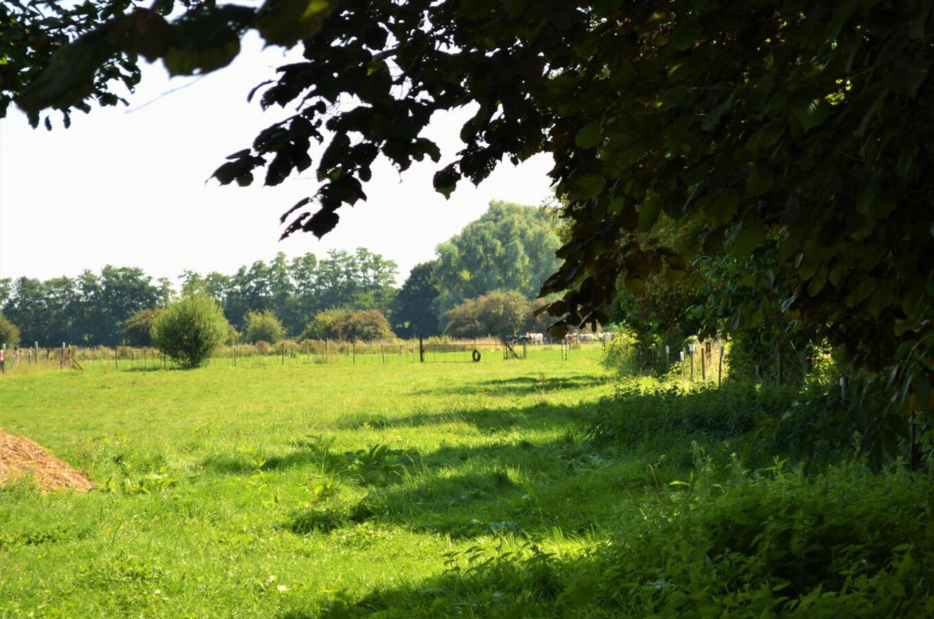 Leuke eigendom met magnifieke ligging te Winksele (Herent) op ca. 0,89ha. 