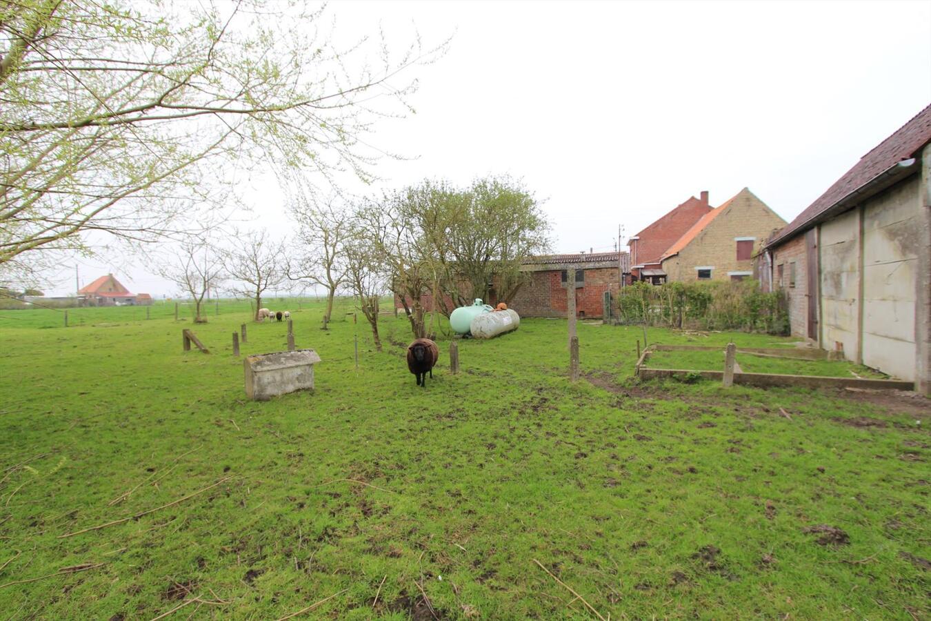 Alleenstaande woning hoeve met uitgestrekte vergezichten te Koekelare 