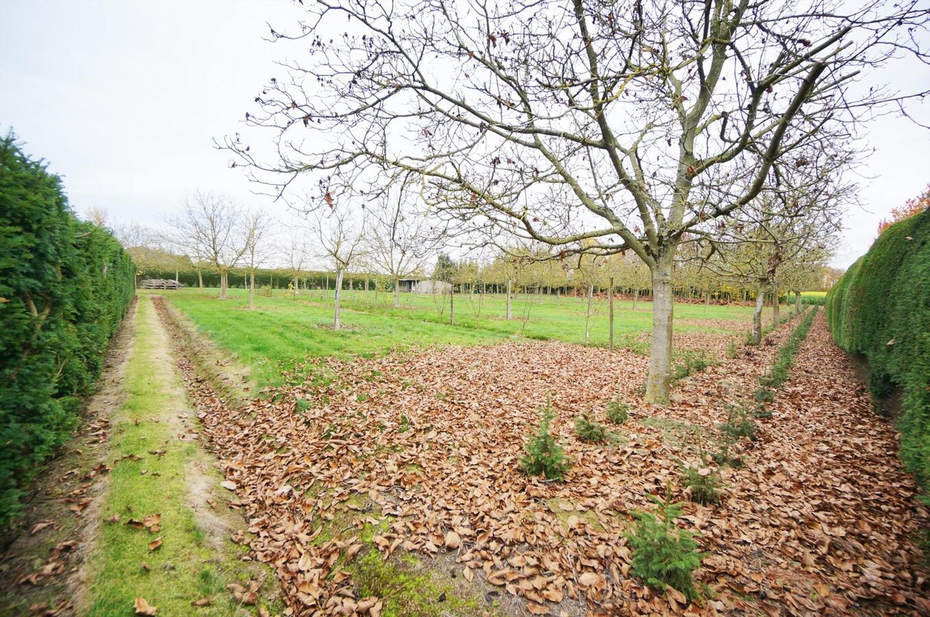 Maison de campagne vendu À Lubbeek