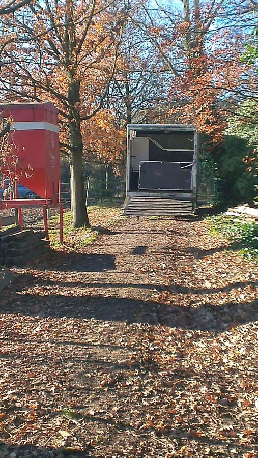 Weide met stalgebouw, buitenpiste en paddock op ca. 1,5ha te Kontich 