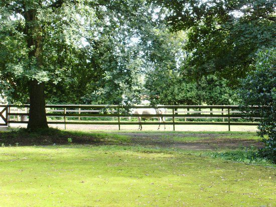 Verzorgde eigendom met paardenstallen op ca. 1,67 ha 