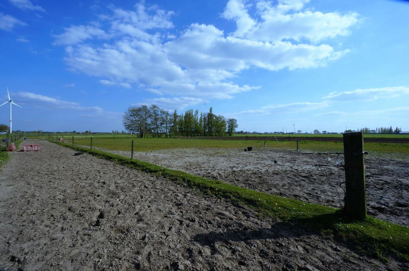 Hippisch complex op 2,6 ha te Loenhout (Wuustwezel) 