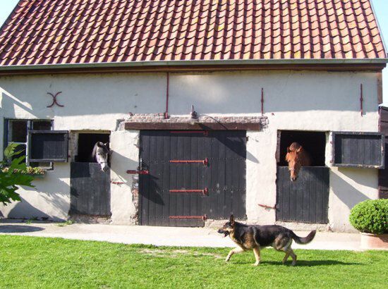 Maison de campagne vendu À Maldegem