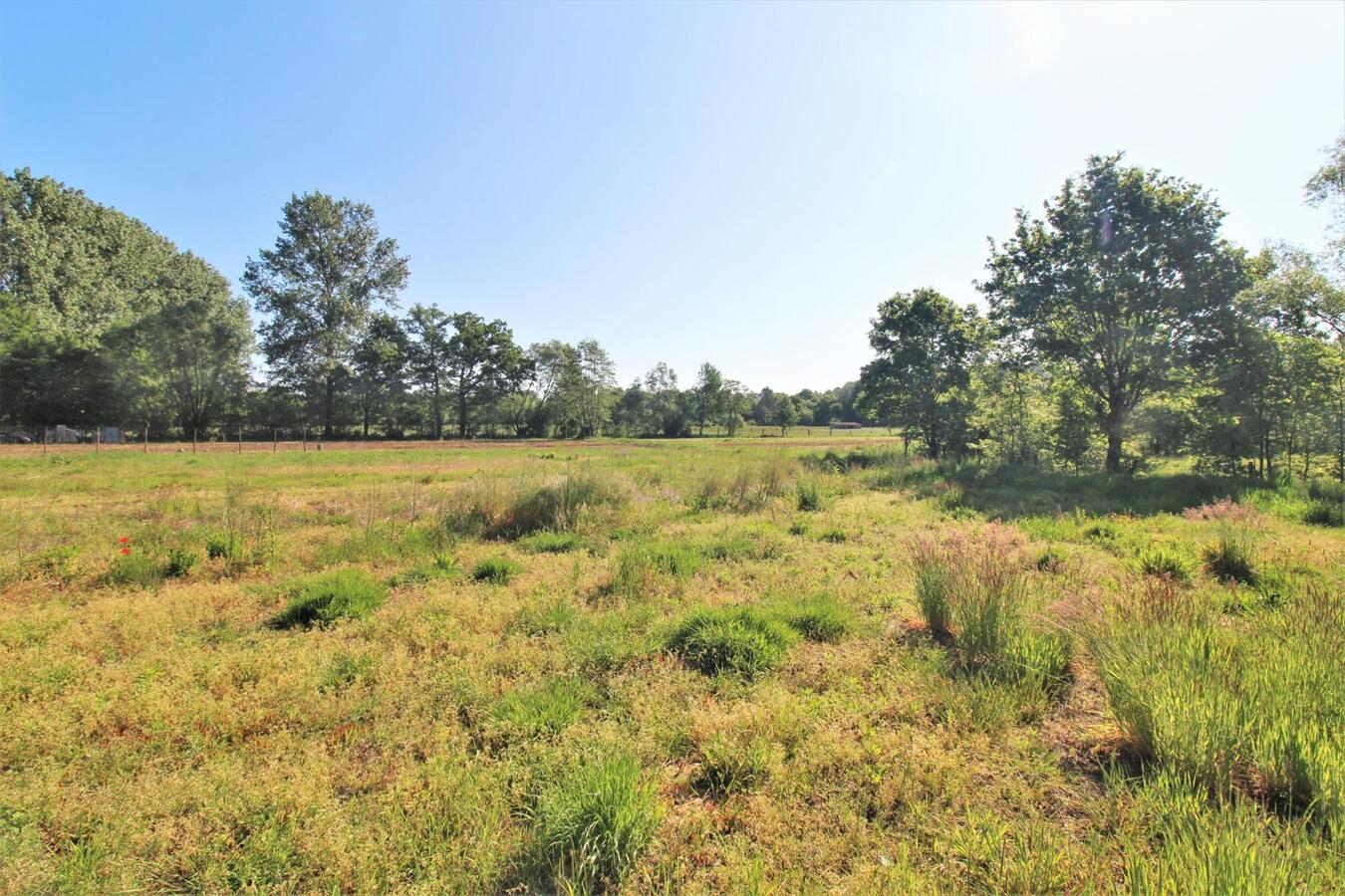 IN OPTIE - Rustig en landelijk gelegen hoeve met aanhorigheden en weiland op ca. 1,35ha te Rillaar (Vlaams-Brabant) 