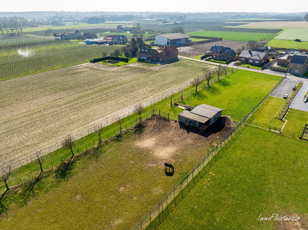 Belle maison r&#233;nov&#233;e avec d&#233;pendances et installations &#233;questres sur environ 1,3 ha &#224; Kortenaken (Brabant flamand) 