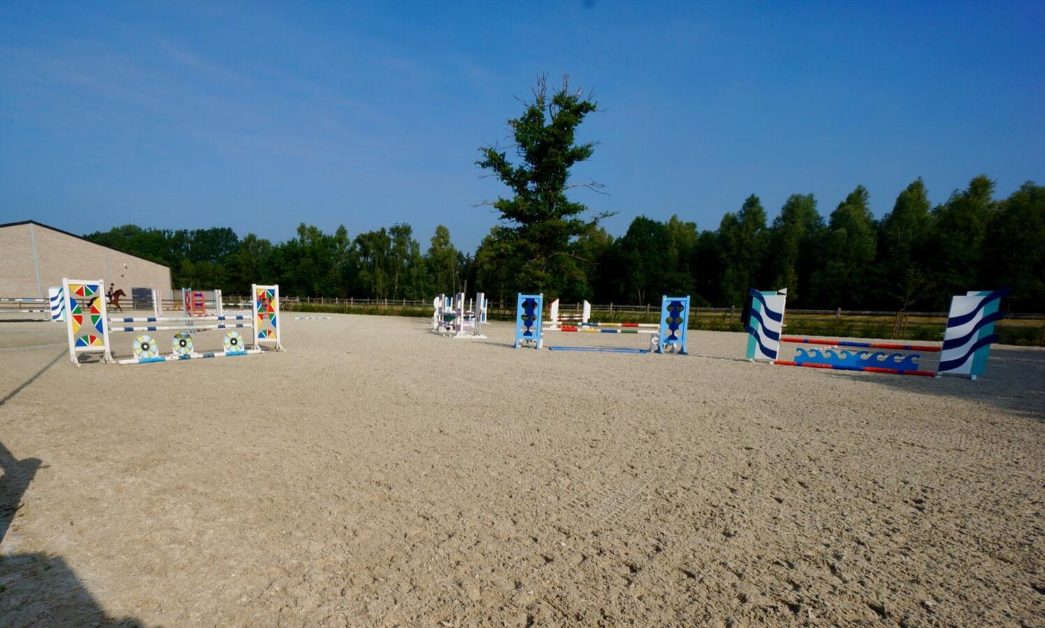 Equestrian complex with house on approximately 6,5ha in Laakdal 