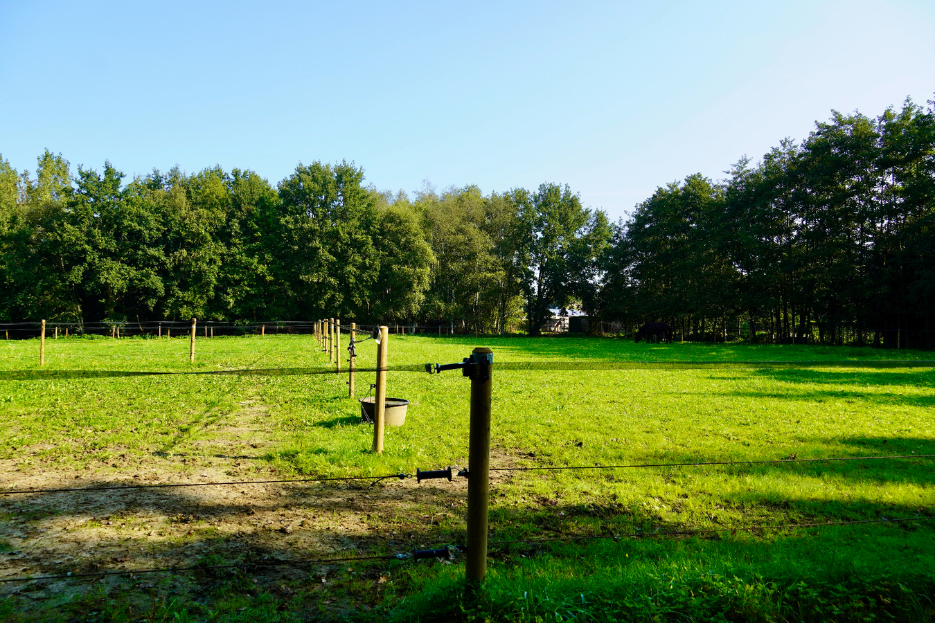 Unieke eigendom met woning , weides en vijver op ca. 5,3 ha te Geel 