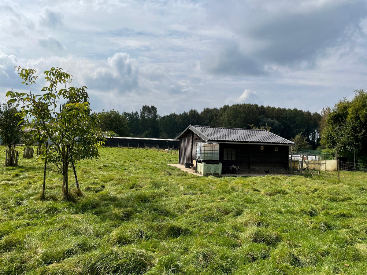 Instapklare woning met groot bijgebouw op ca. 43a te Zoutleeuw (Vlaams-Brabant) 