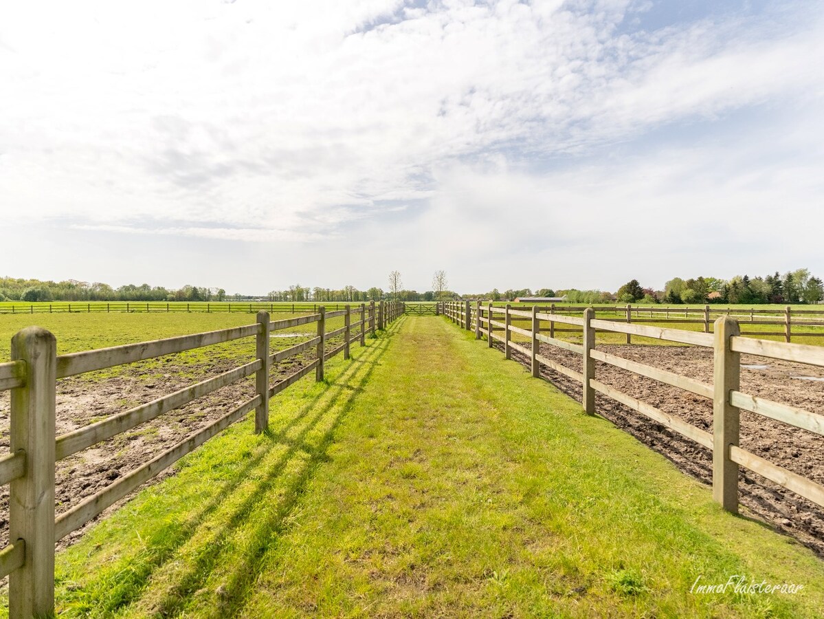 Beautiful equestrian accommodation on appr.  2.4 ha/5,94 acres in Meerle/Hoogstraten 