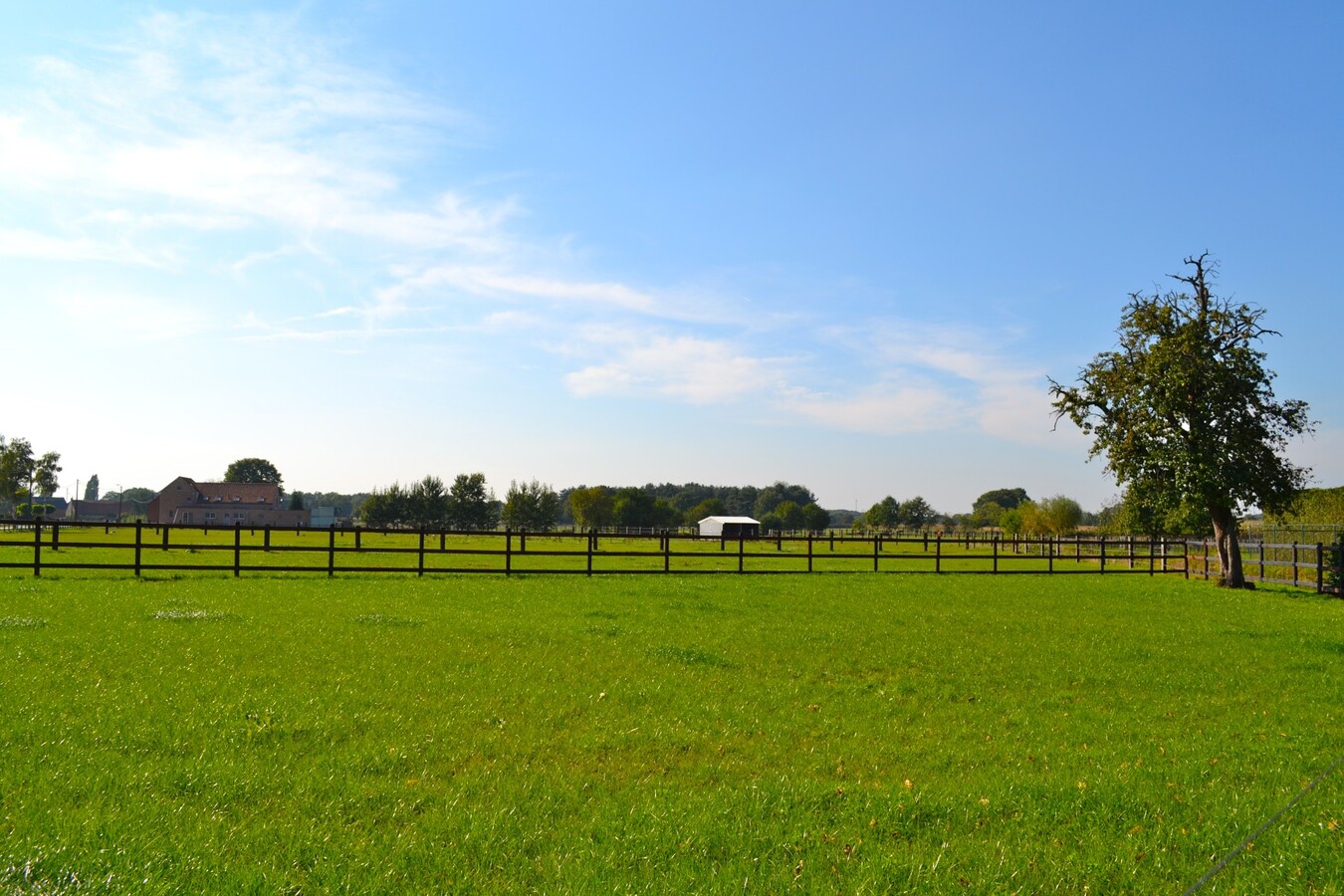 Gerenoveerde hoeve met stallen op ca. 2663m2 te Morkhoven  met huur /aankoop extra weide 