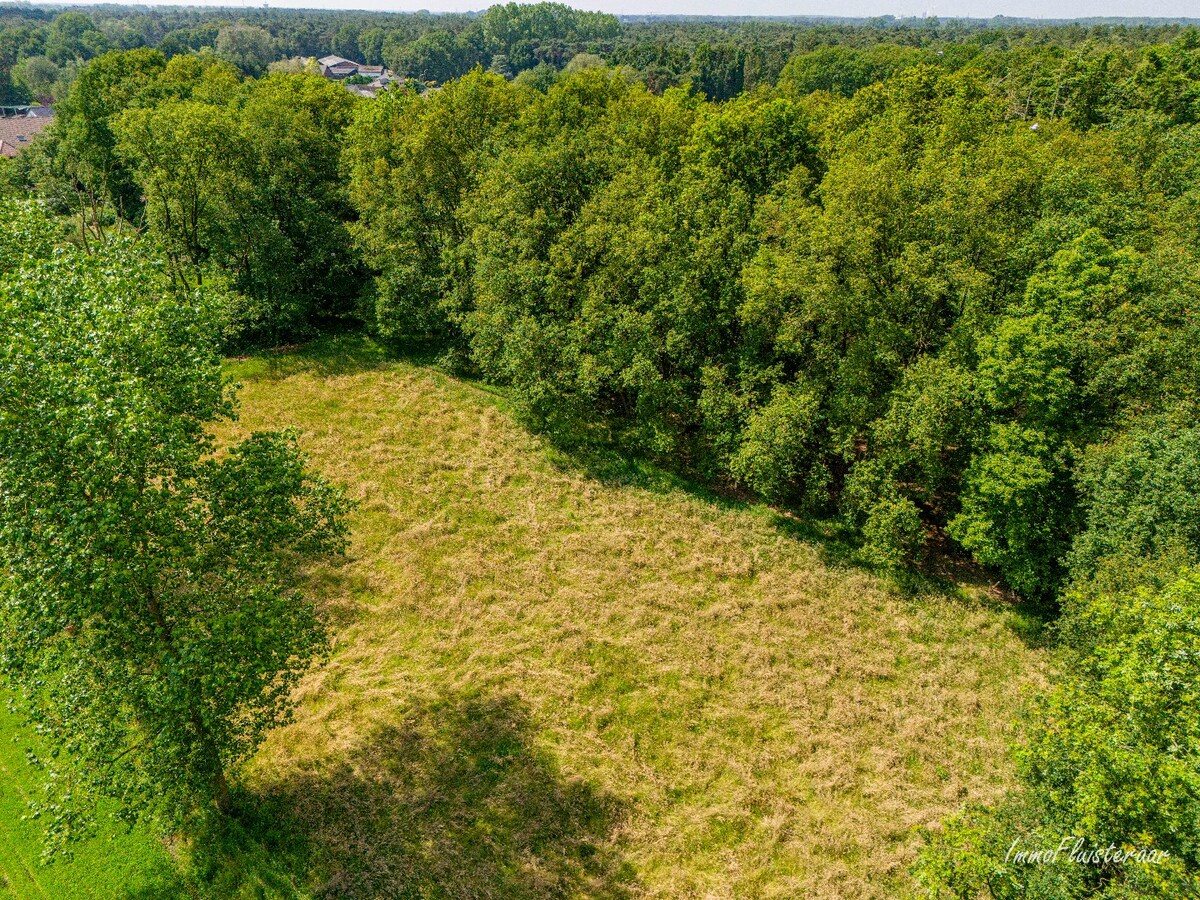 Uniek domein met woning op ca. 3,6 ha gelegen te Balen (optie tot aankoop ca. 10 ha aanpalend bos- en weiland) 