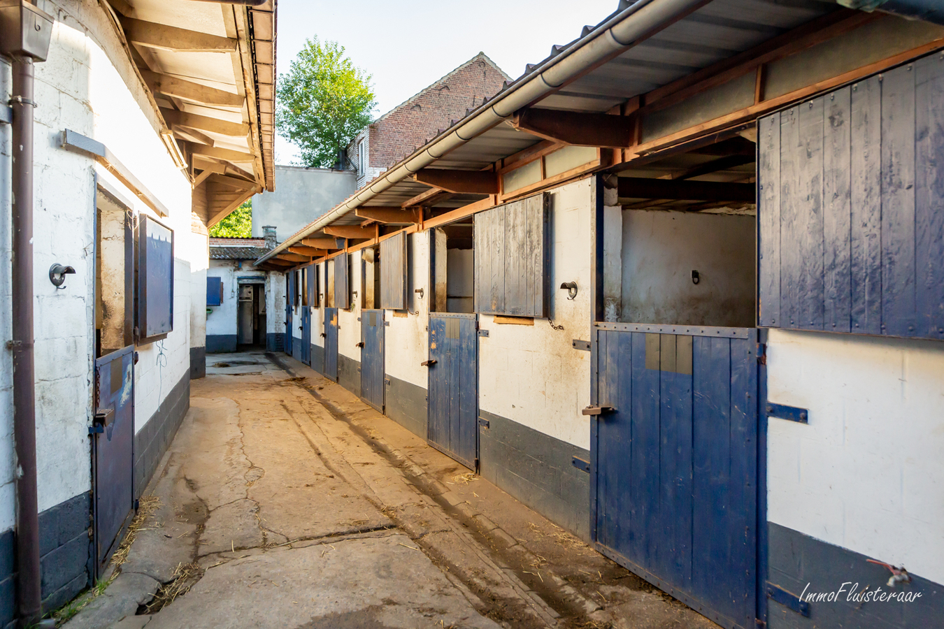 Horse accommodation with indoor and outdoor arena on approximately 50 acres in Hoeilaart (Flemish Brabant) 