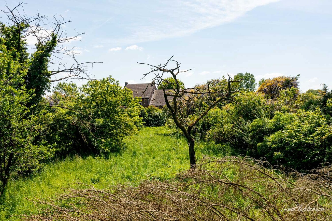 Maison calme et situ&#233;e &#224; la campagne avec d&#233;pendances sur environ 1,28 ha &#224; Bekkevoort (Brabant flamand). 