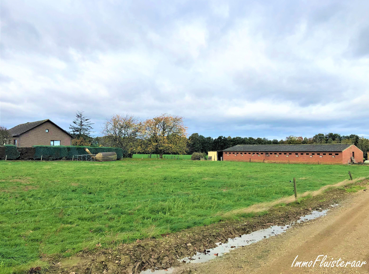 Woning in rustige omgeving op ca. 58a te Bree (ca. 3ha extra mogelijk!) 