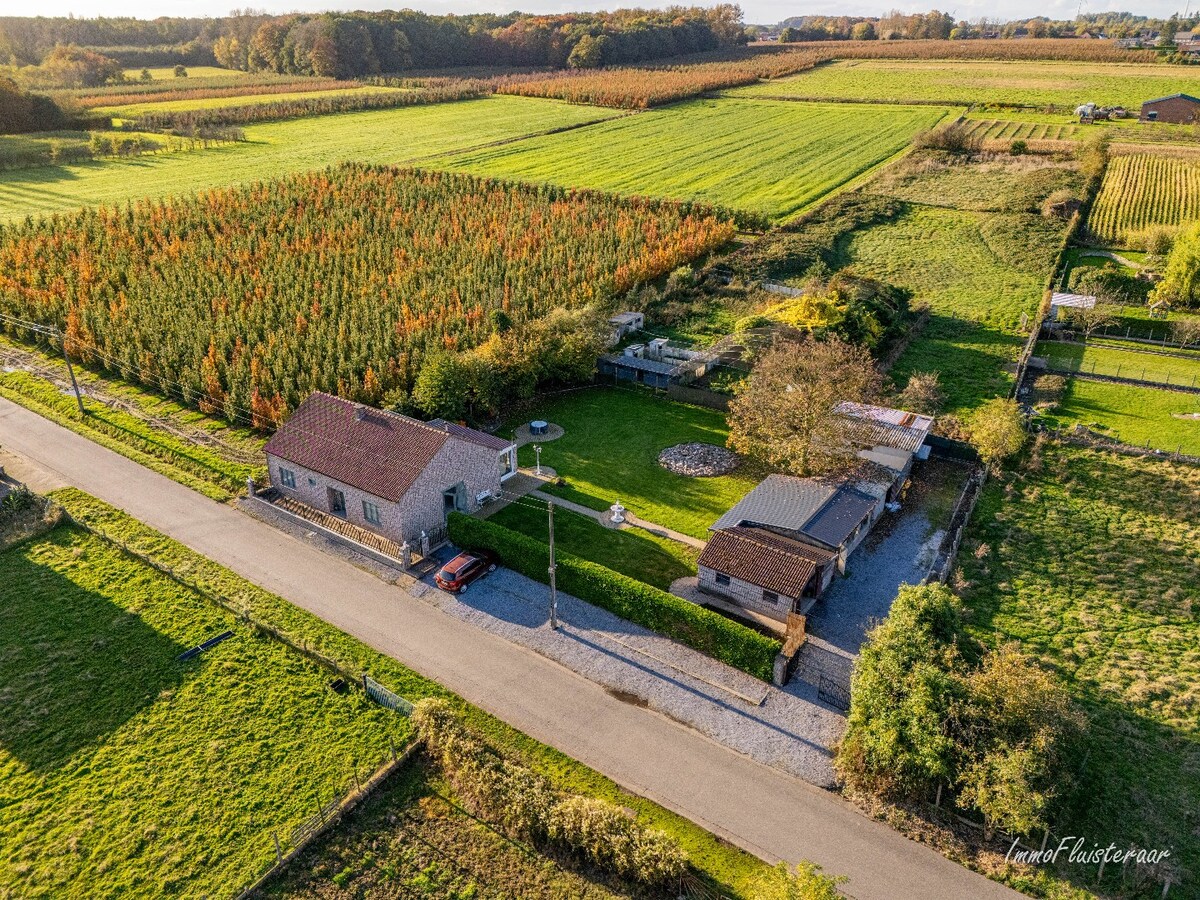 Charmante woning op een ruim perceel van ca. 78 are te Loksbergen (Halen) 