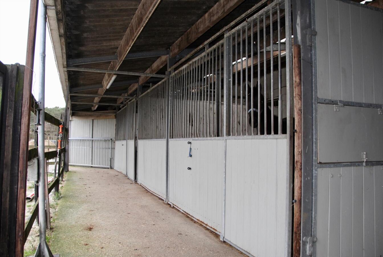 Woning en paardenaccommodatie met binnen- en buitenpiste gelegen te Retie op ca. 5,7ha 