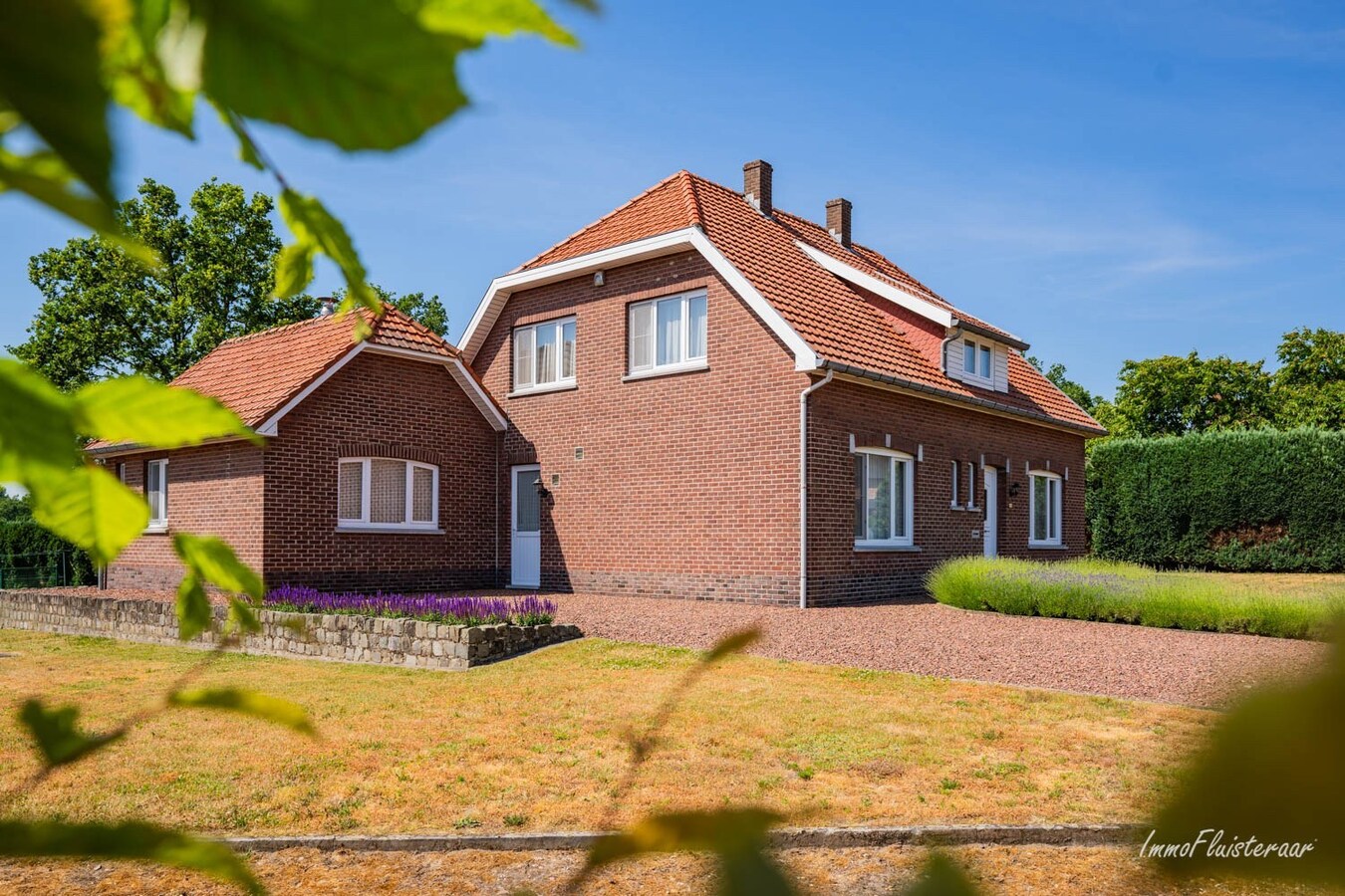 Charming house with stable and land of approximately 1.63 hectares in Opglabbeek (Oudsbergen) 