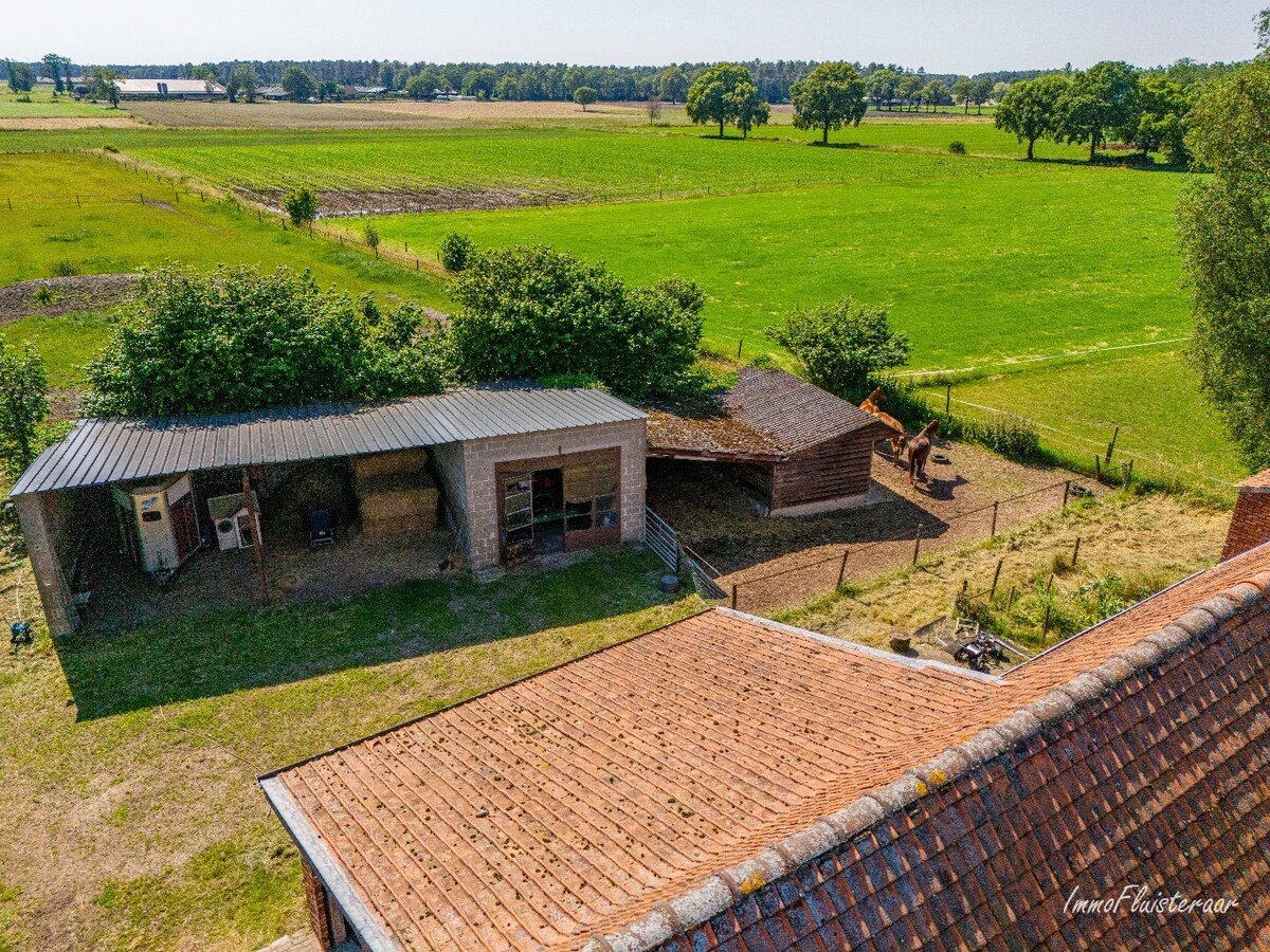 Prachtige hoeve met weilanden en stallen op ca. 2,1 ha te Kaulille (Bocholt) 