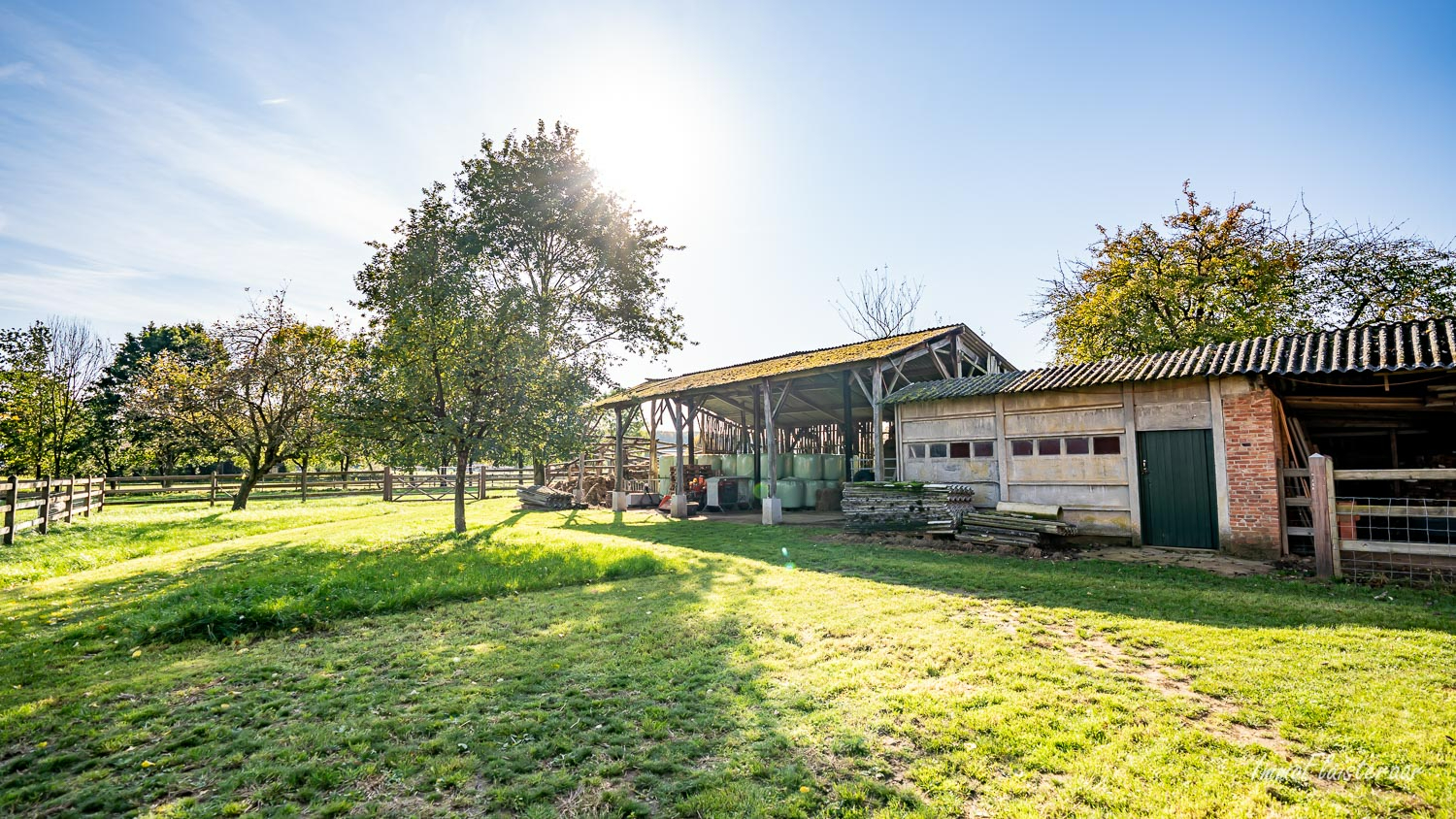 Charmante hoevewoning met garage/magazijn, recent stalgebouw, aanhorigheden en weiland op ca. 1,6ha te Diest (Vlaams-Brabant) 