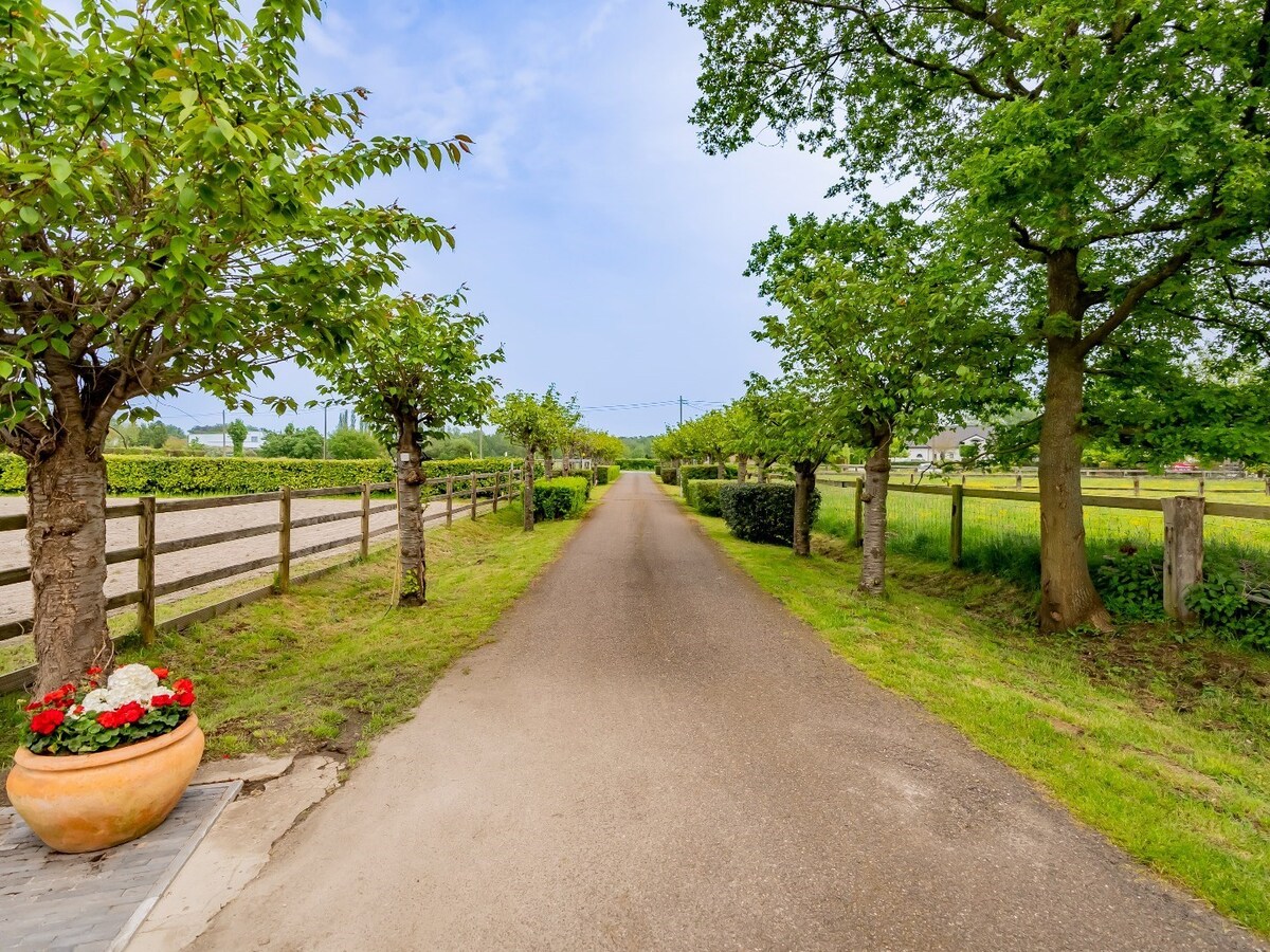 Villa moderne avec des installations &#233;questres sur environ 5,2 hectares &#224; Herselt. 