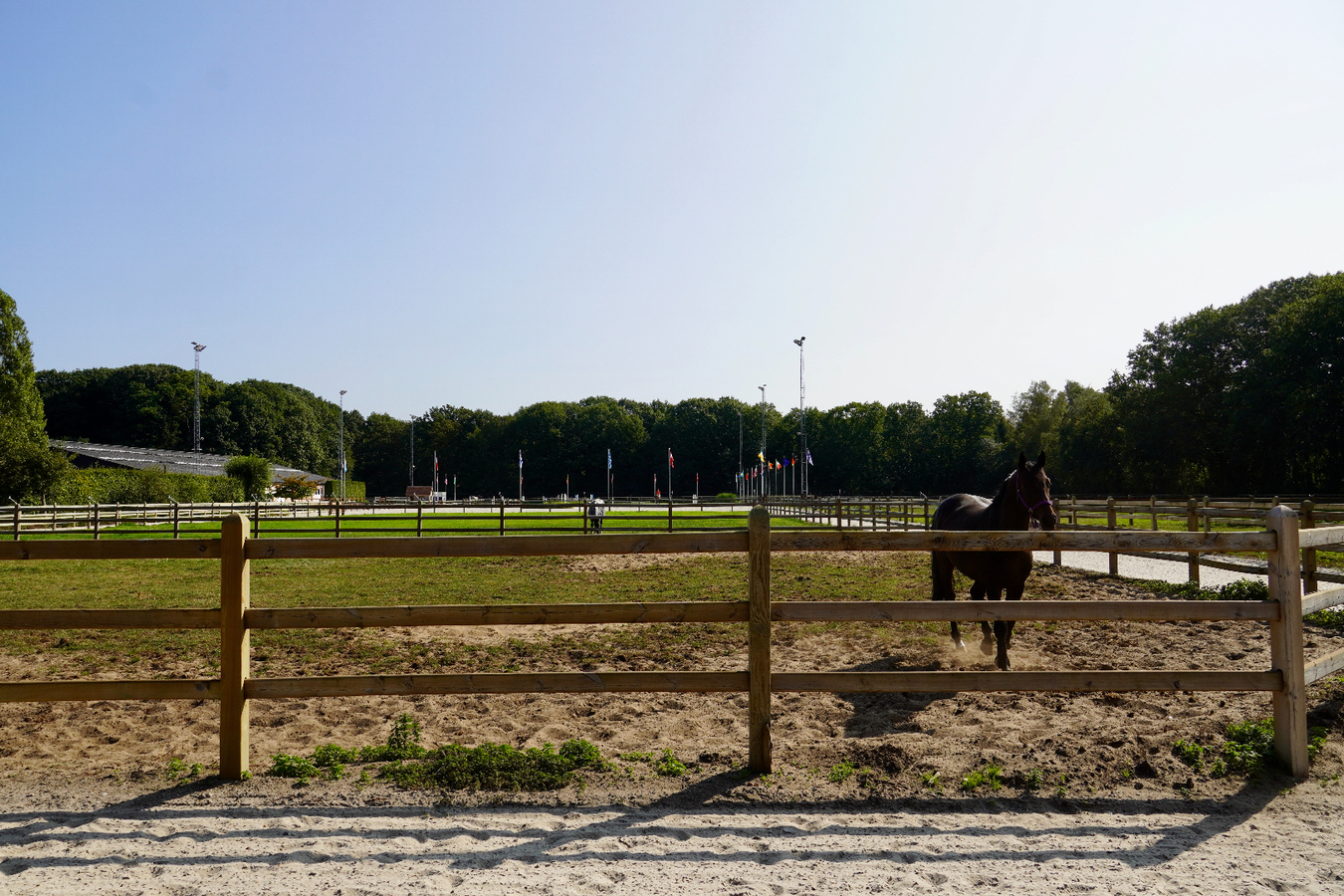 Hippisch centrum &quot;De Kraal&quot; met aanpalende luxe villa op ca. 8,7 ha te Zandhoven 