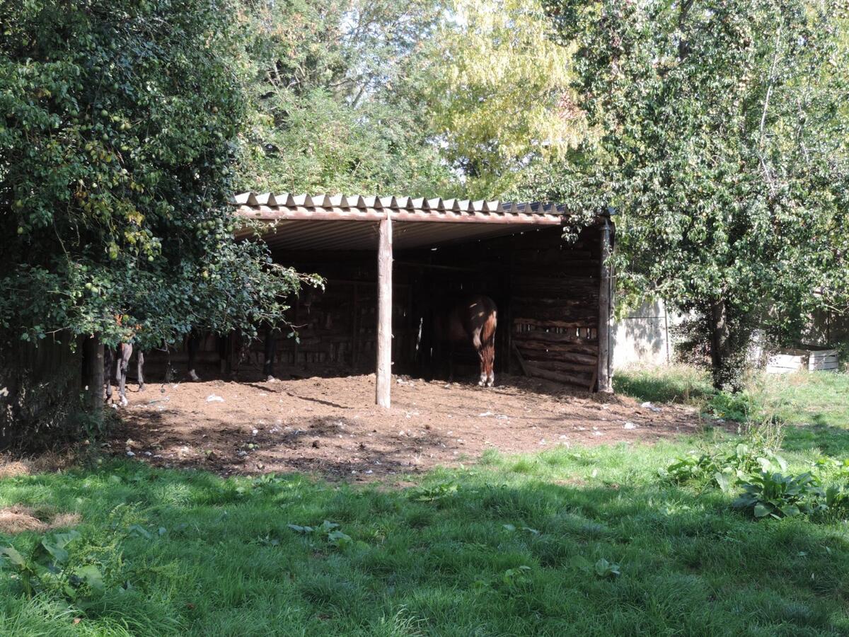 Karaktervol herenhuis met naastliggende bouwgrond op ca 2,6ha te Heers 