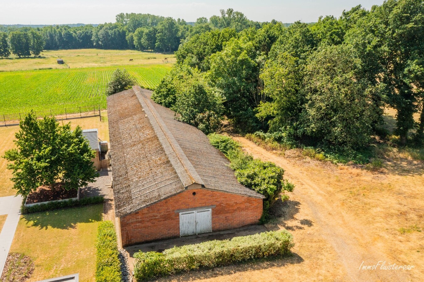 Charming house with stable and land of approximately 1.63 hectares in Opglabbeek (Oudsbergen) 