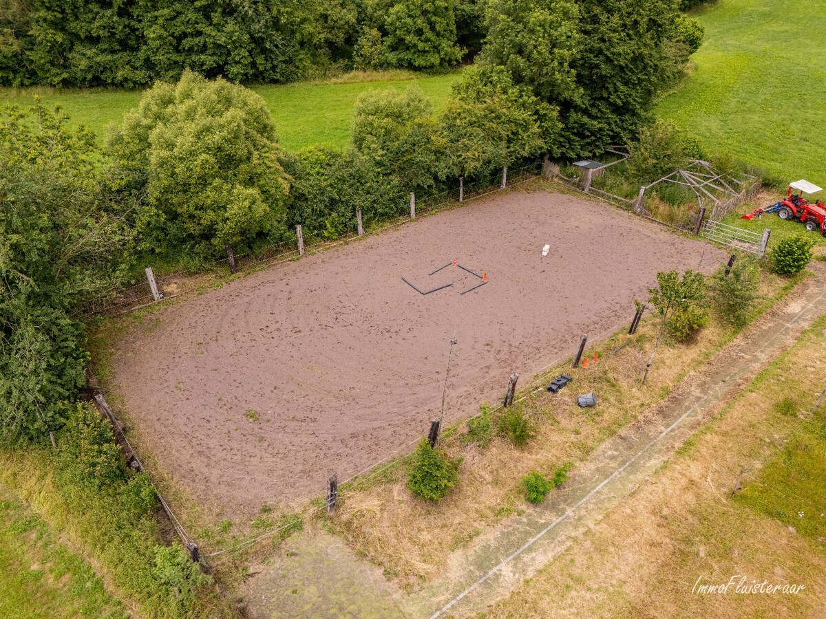 Interessant eigendom met paardenfaciliteiten omgeven door groen op ca. 43 are te Burg-Reuland (Luik) 