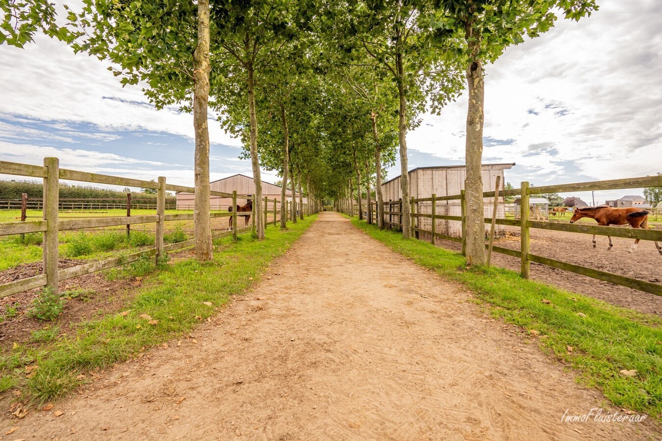 Charming farmhouse with horse breeding on approx. 4.5 ha/11,12 acres in Herentals (Antwerp) 